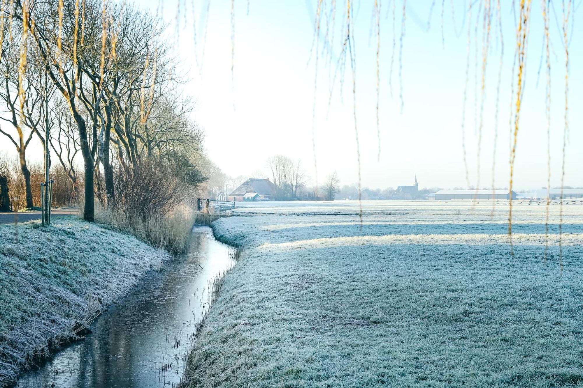 Cynnewille Ee Exteriör bild